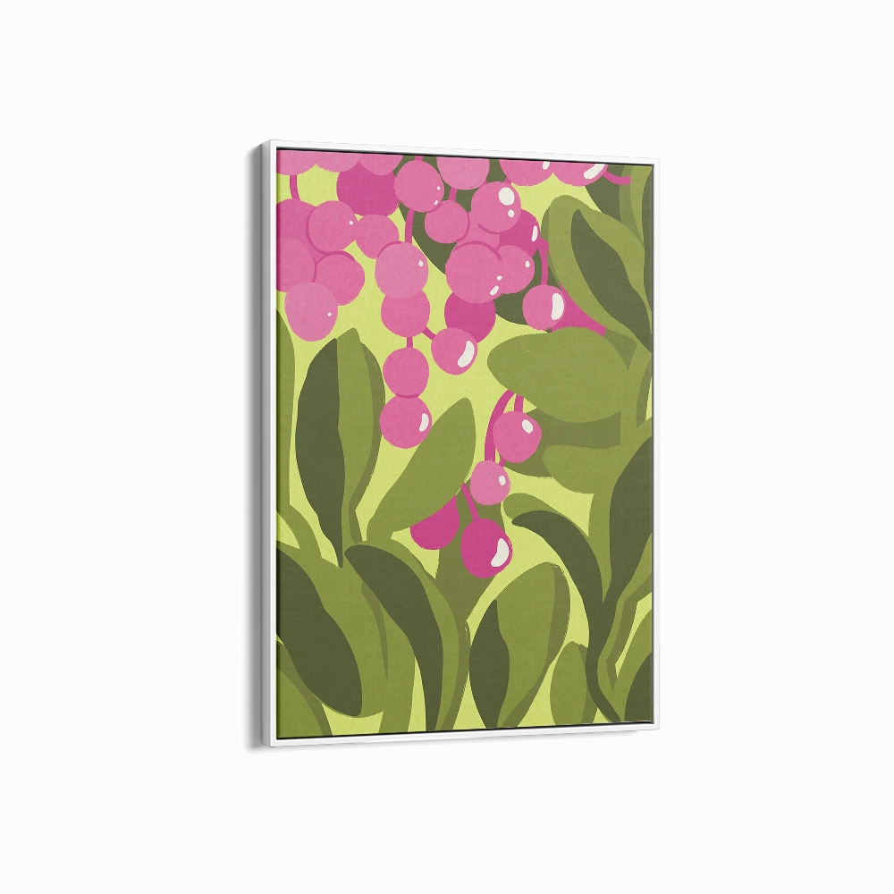 Lilly Pilly
