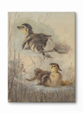 Little Ducklings, Canvasindoor decorative canvas print