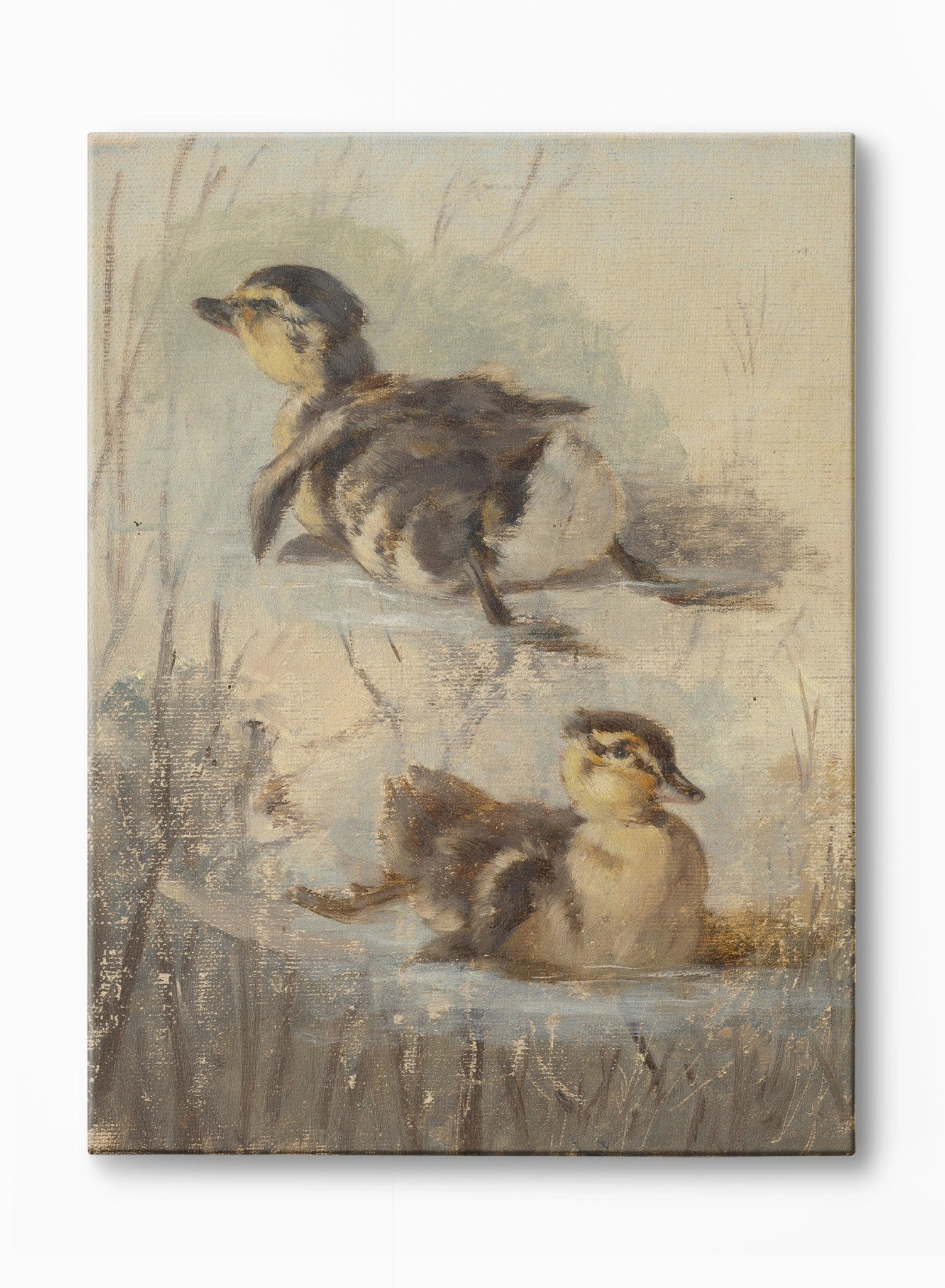 Little Ducklings, Canvasindoor decorative canvas print