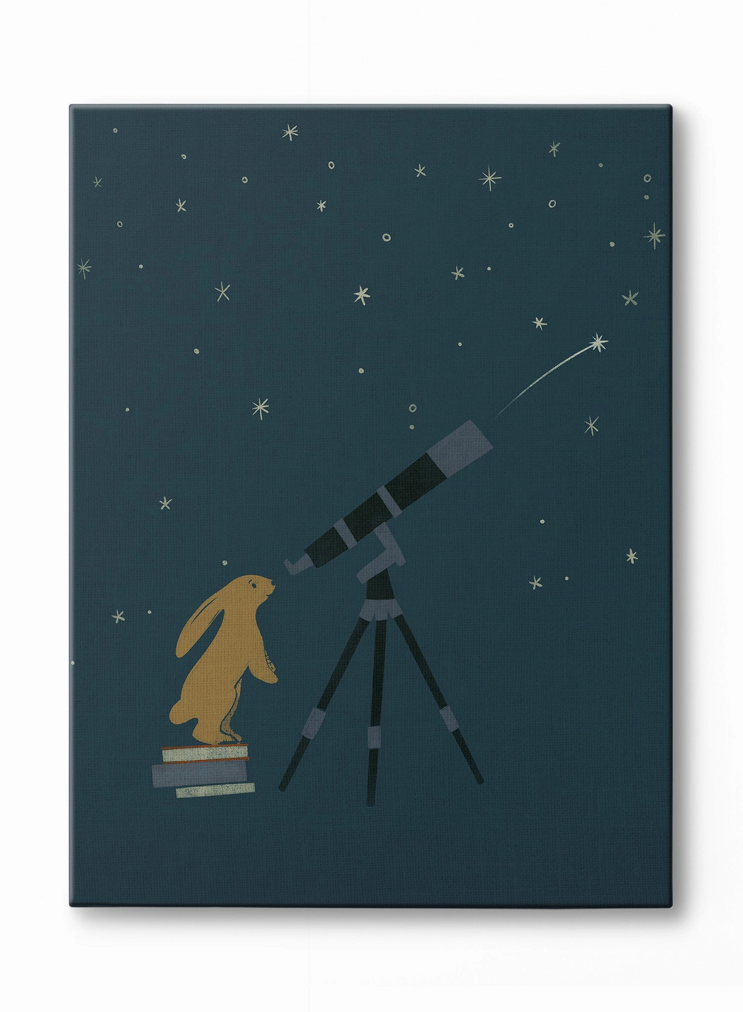 Littlest Stargazer, Canvasindoor decorative canvas print