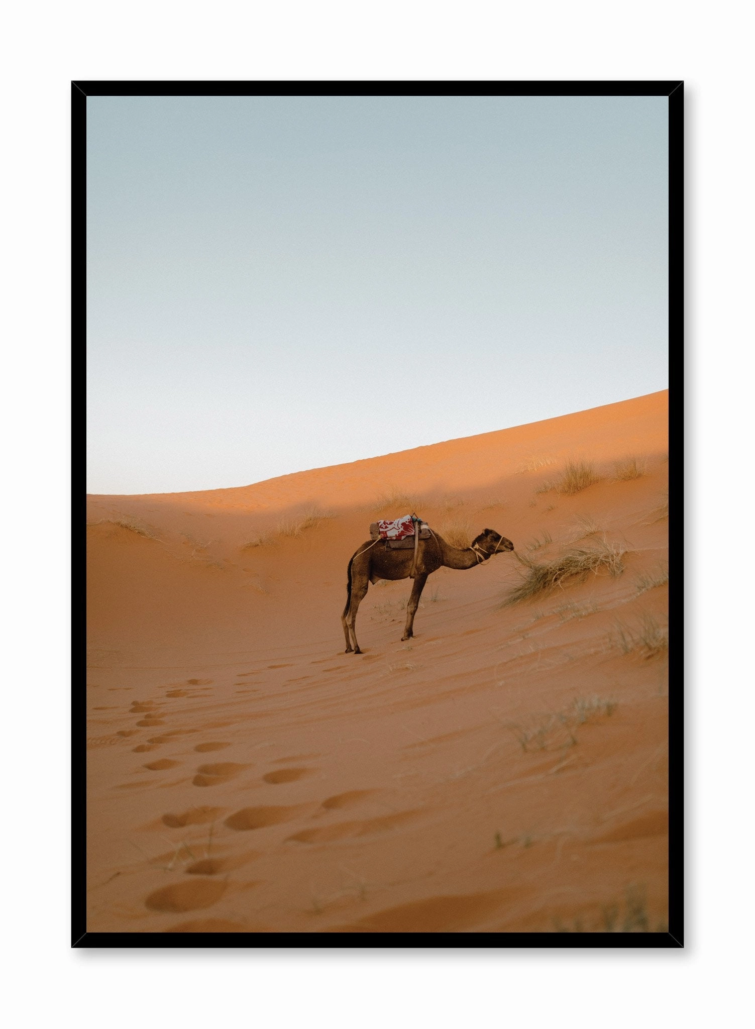 Lone Camel, Posterpop culture themed posters