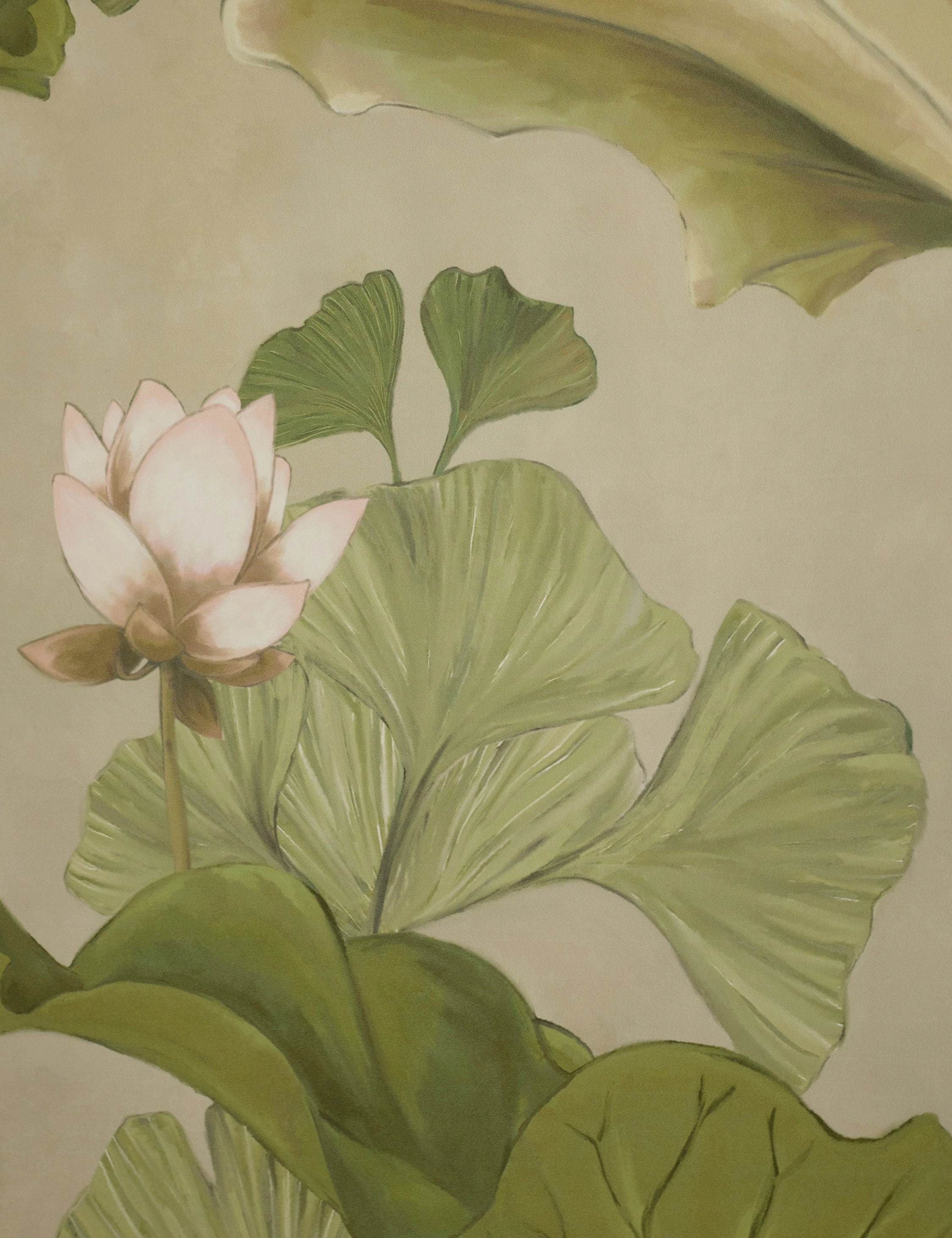 Lotus Wallpaper by Aimee Song