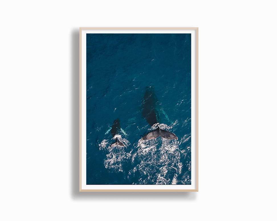 Maui
