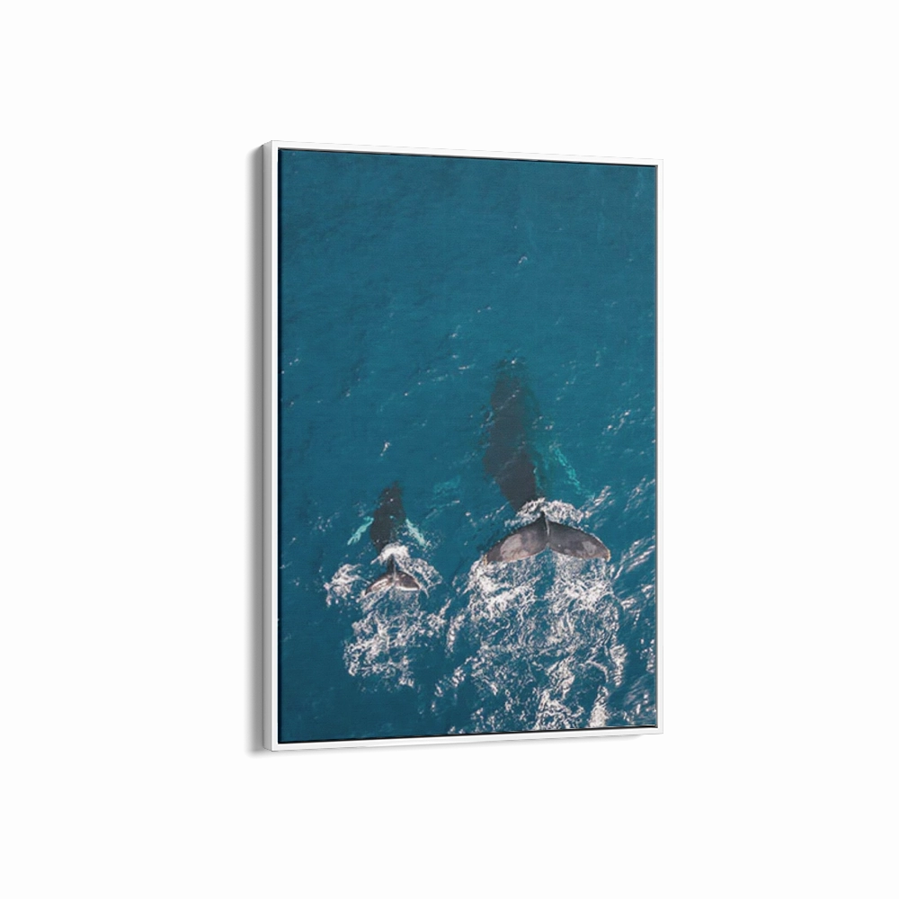 Maui