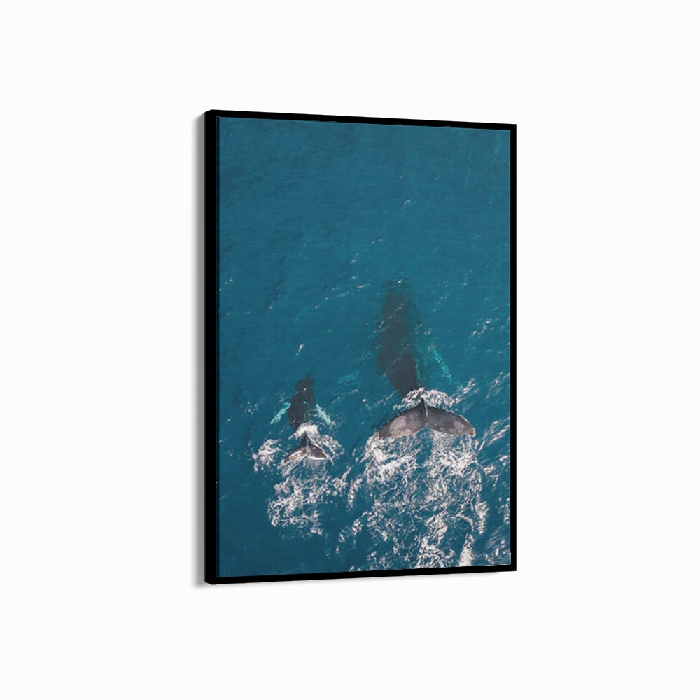 Maui