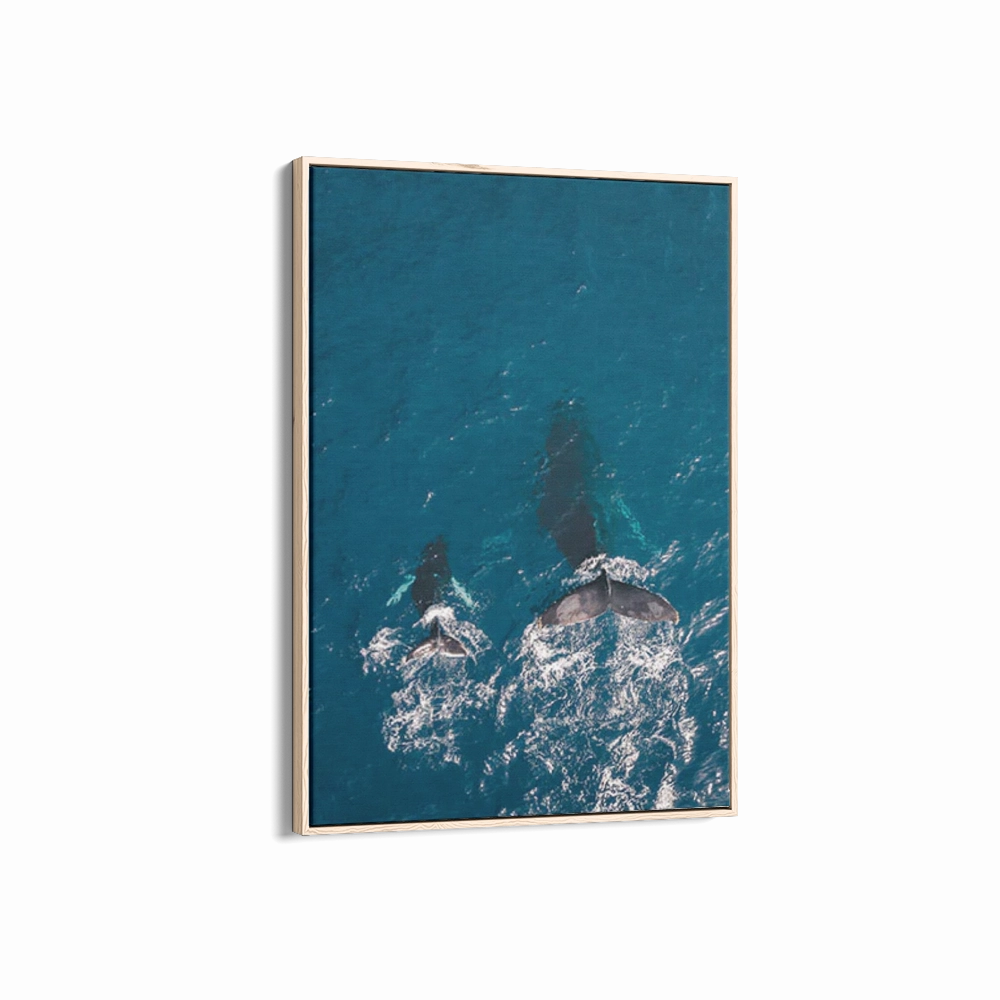 Maui