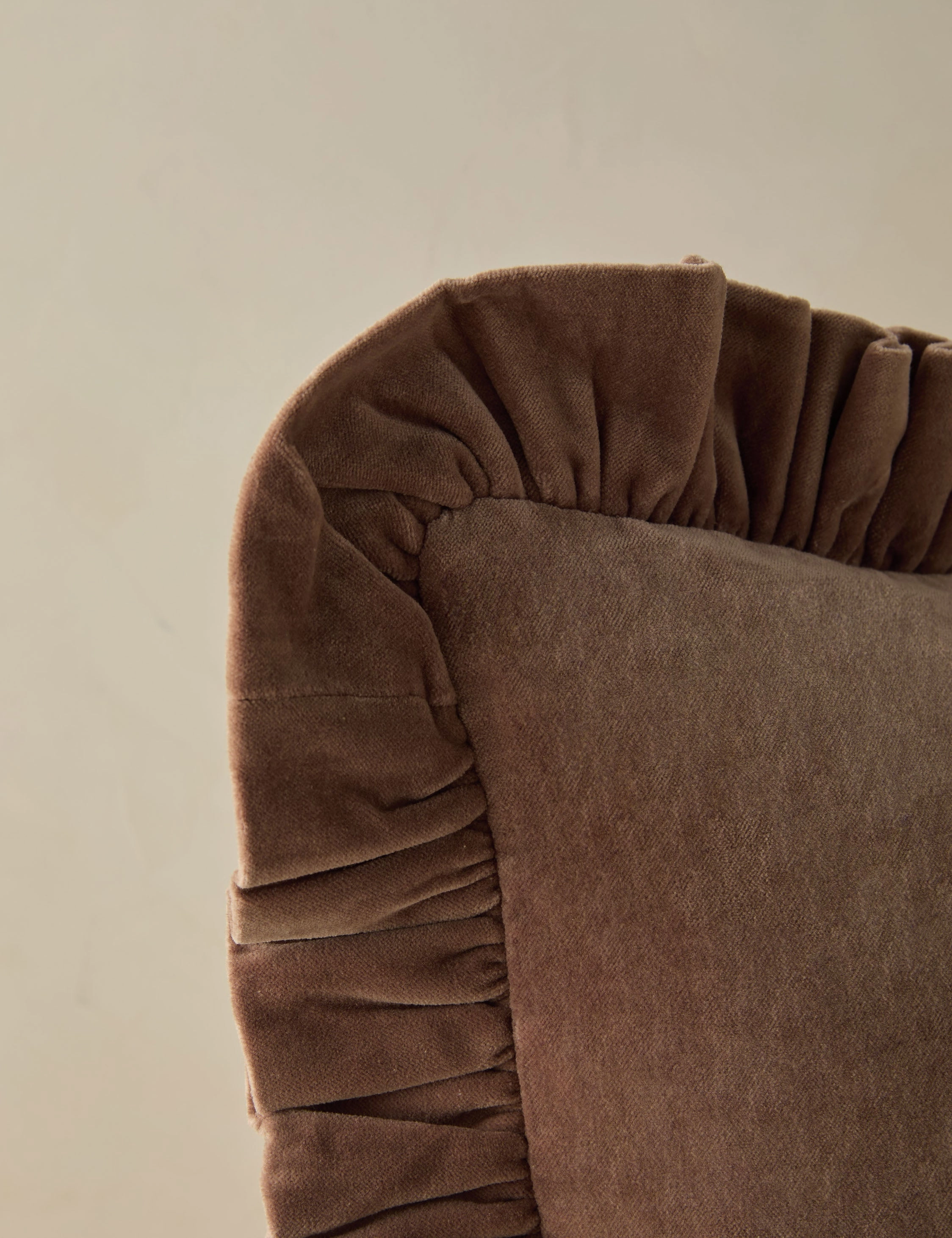 Mauree Velvet Pillow