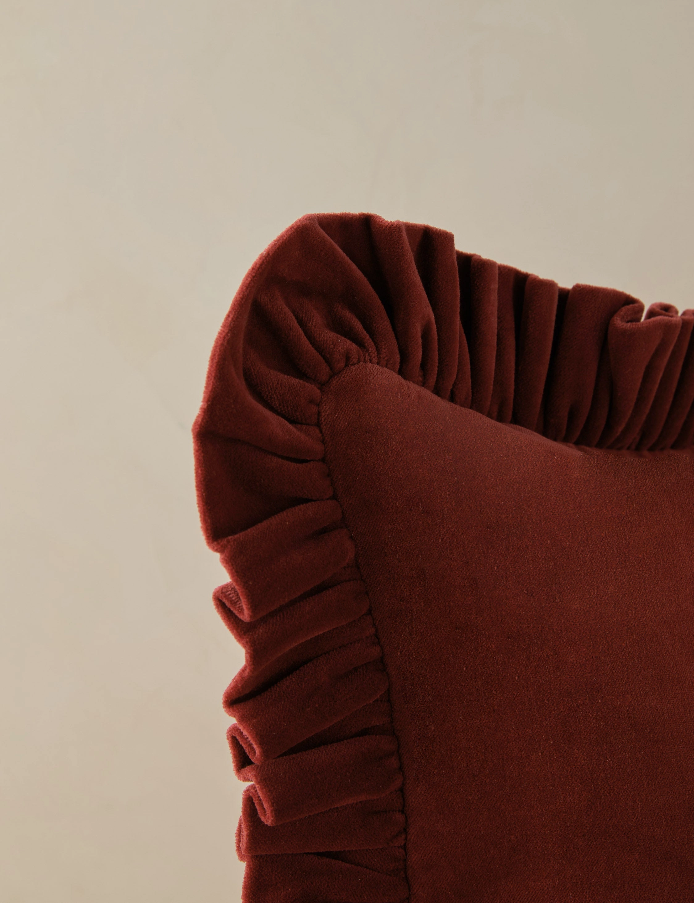 Mauree Velvet Pillow