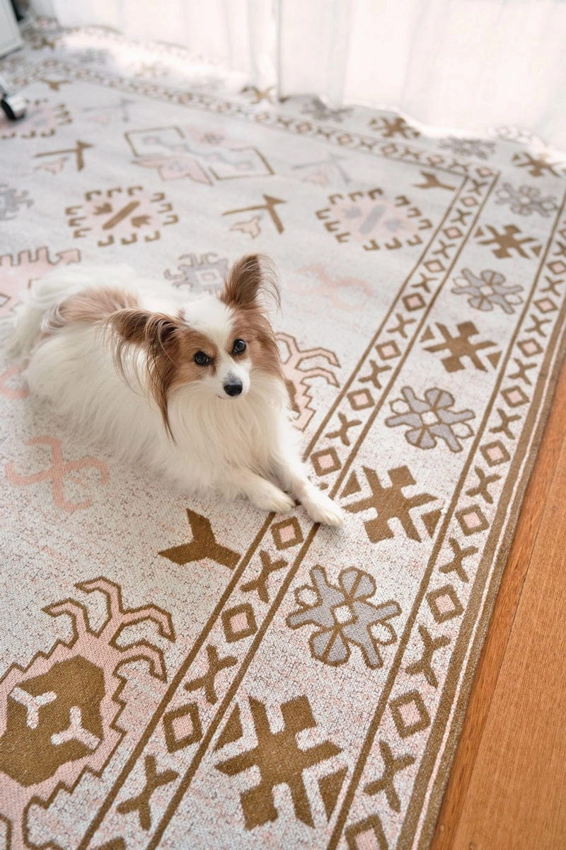 Mimi Peach and Beige Tribal Rug *NO RETURNS UNLESS FAULTY