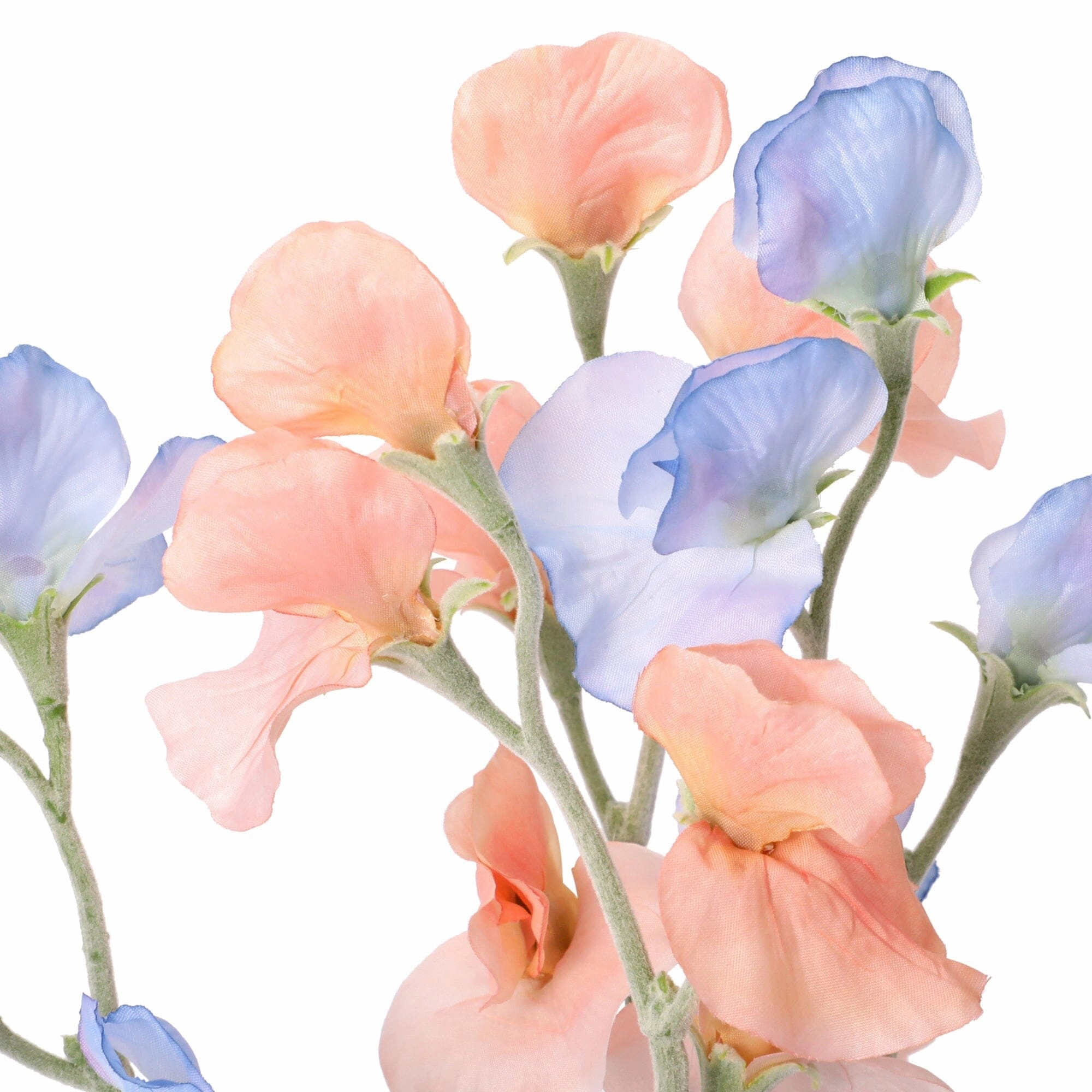 Mini Bouquet Sweet Pea Light Blue X Orange
