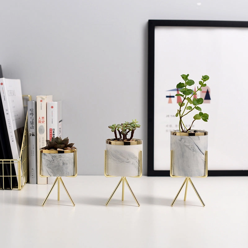Mini Marble Pattern Planter with Gold Standhome decoration ,modern home decor 