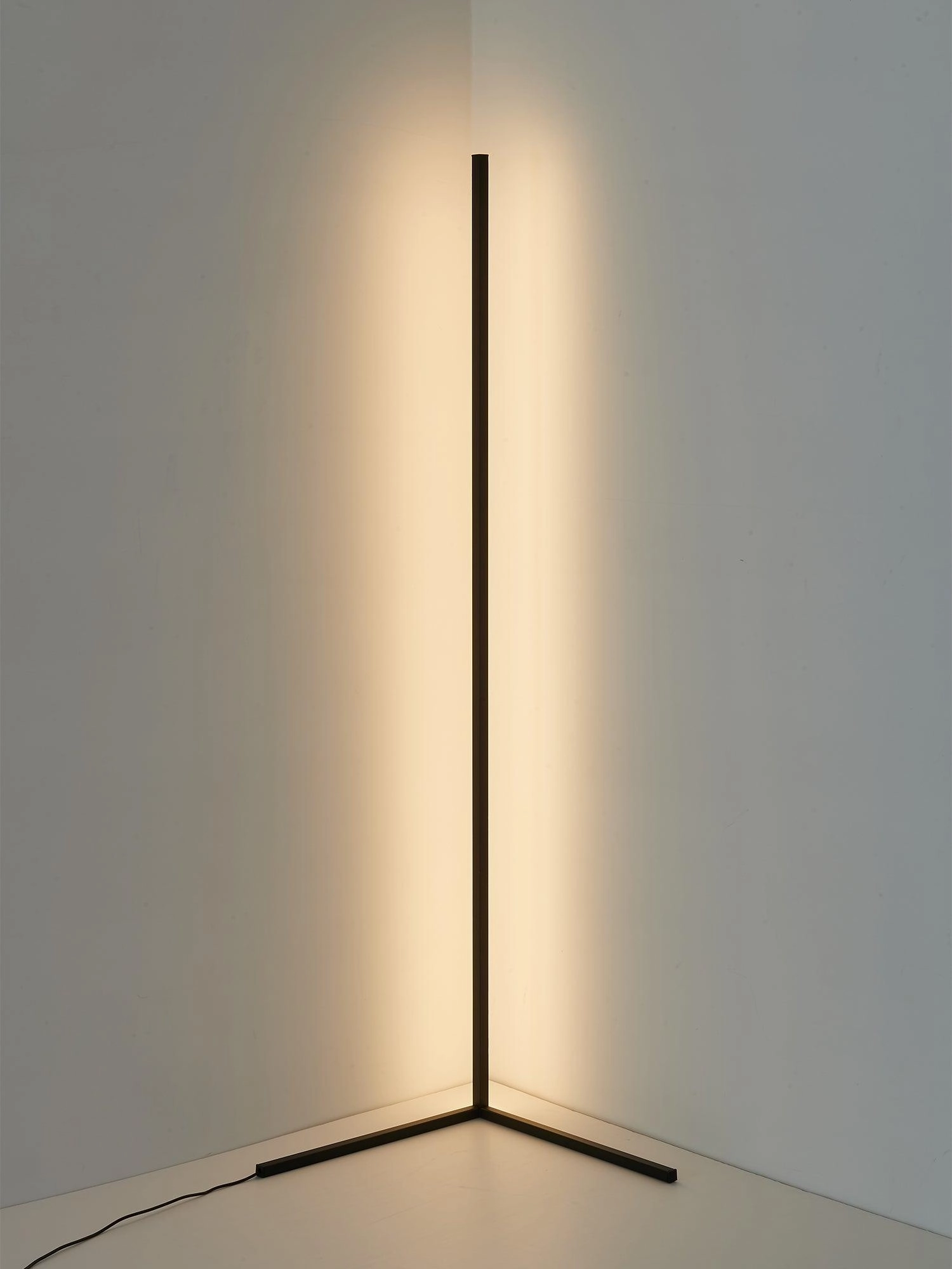 Minimalist LED Floor Lamp