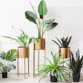 Modern Brass Plant Standhome decoration ,modern home decor 