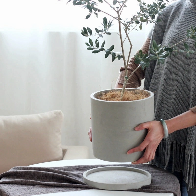 Modern Concrete Plant Pot With Wood Stand