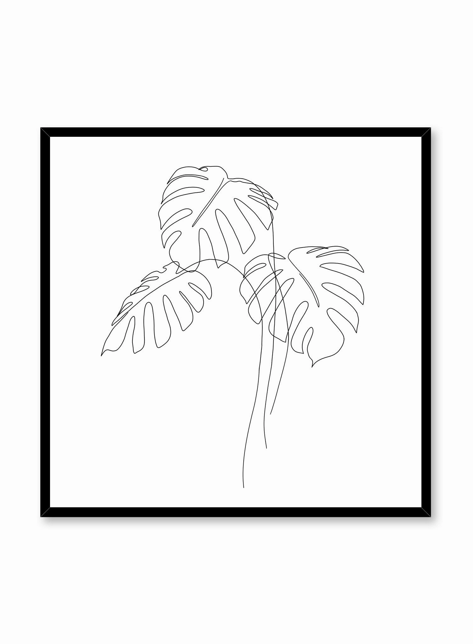 Monstera Trio, Poster