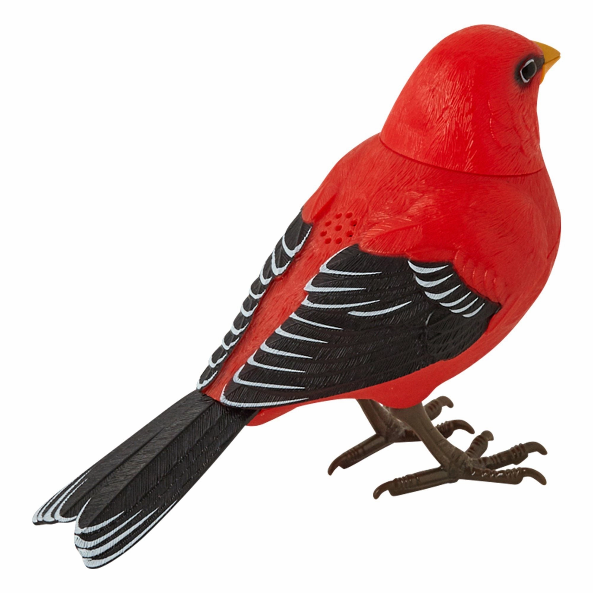 Motion Detector Music Bird Red