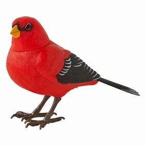 Motion Detector Music Bird Redhome decor ,wall decor 