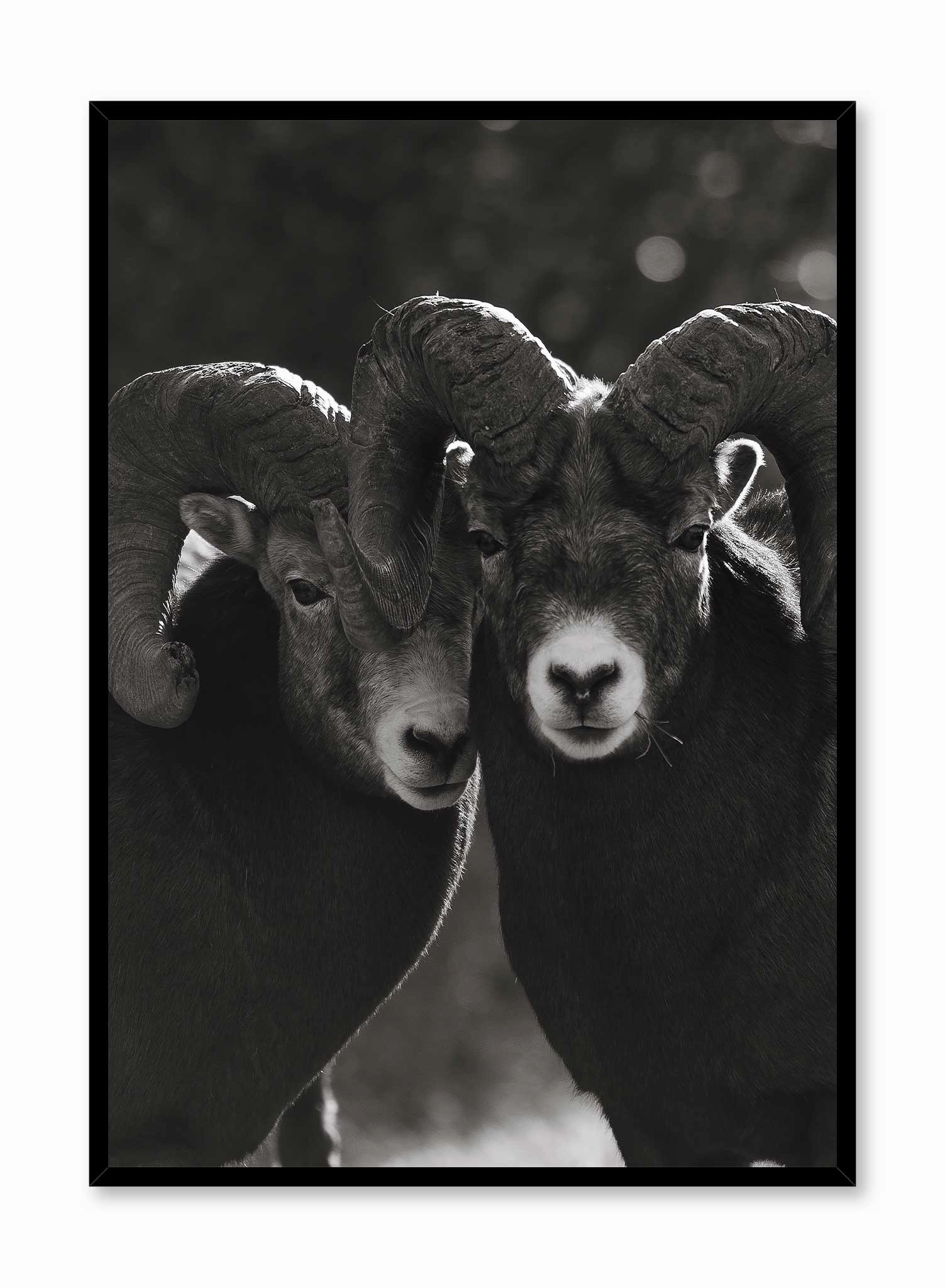 Mouflon Duo, Posterpop culture themed posters