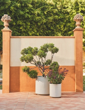 Mowry Indoor/Outdoor Planteroutdoor wrought iron plant stand