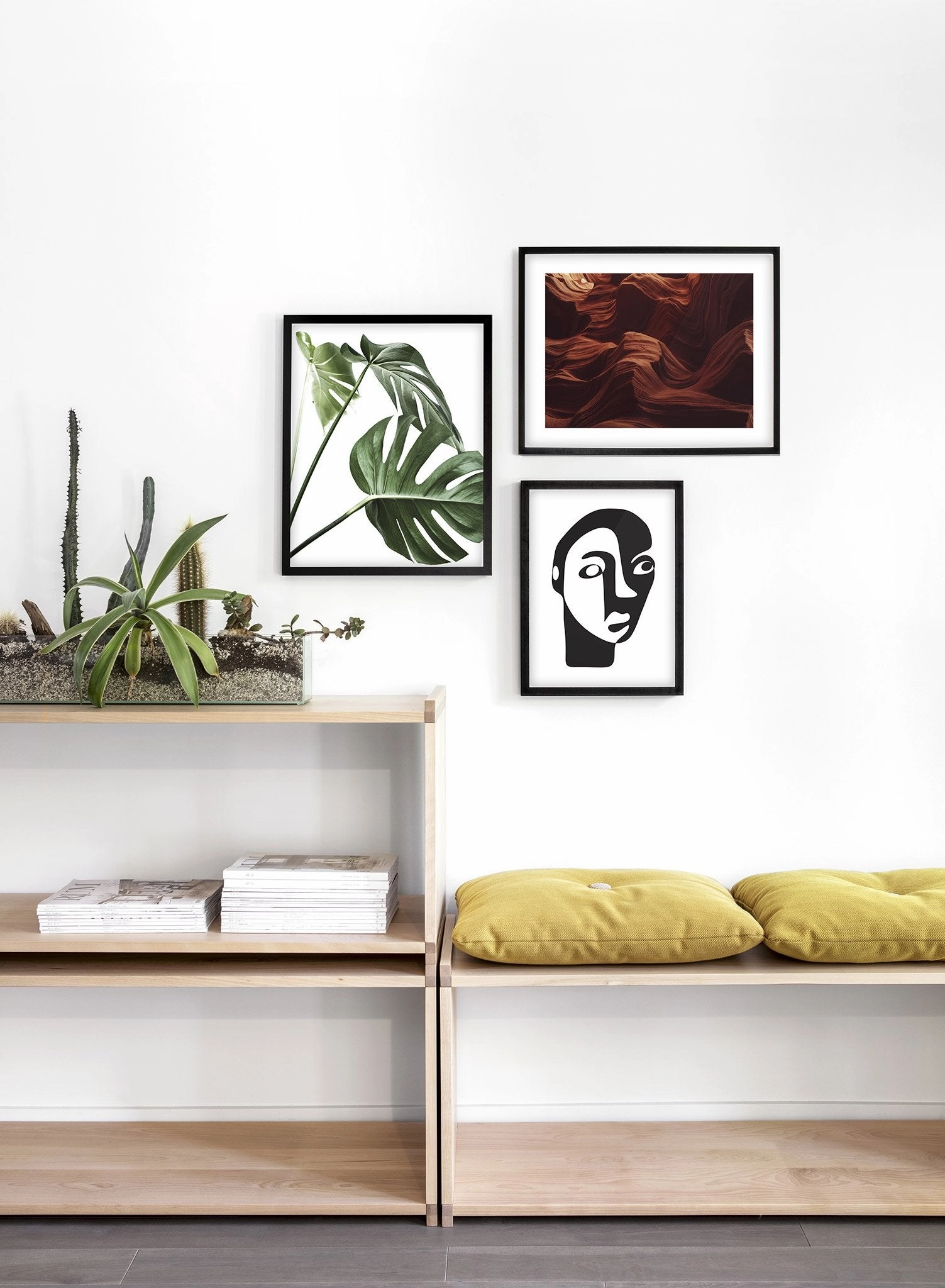 Nature's Curves, Poster