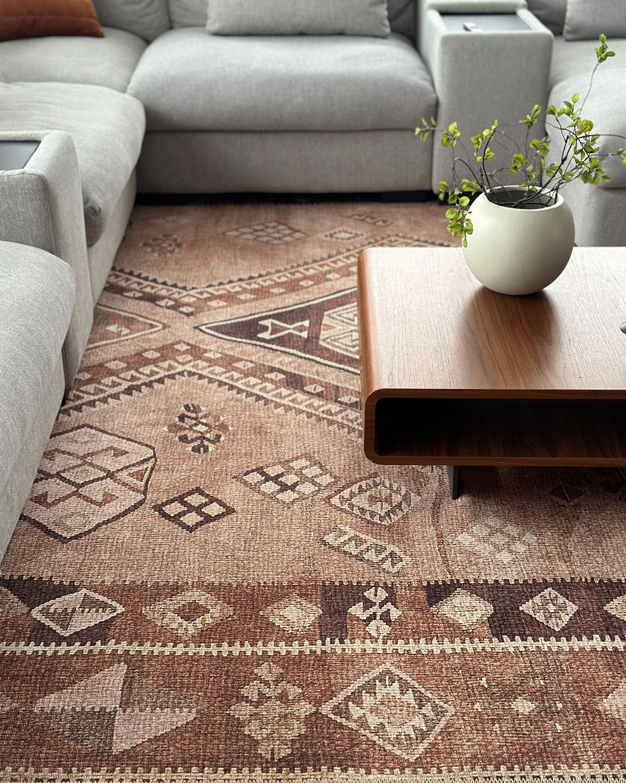 Necha Beige and Brown Tribal Washable Rug
