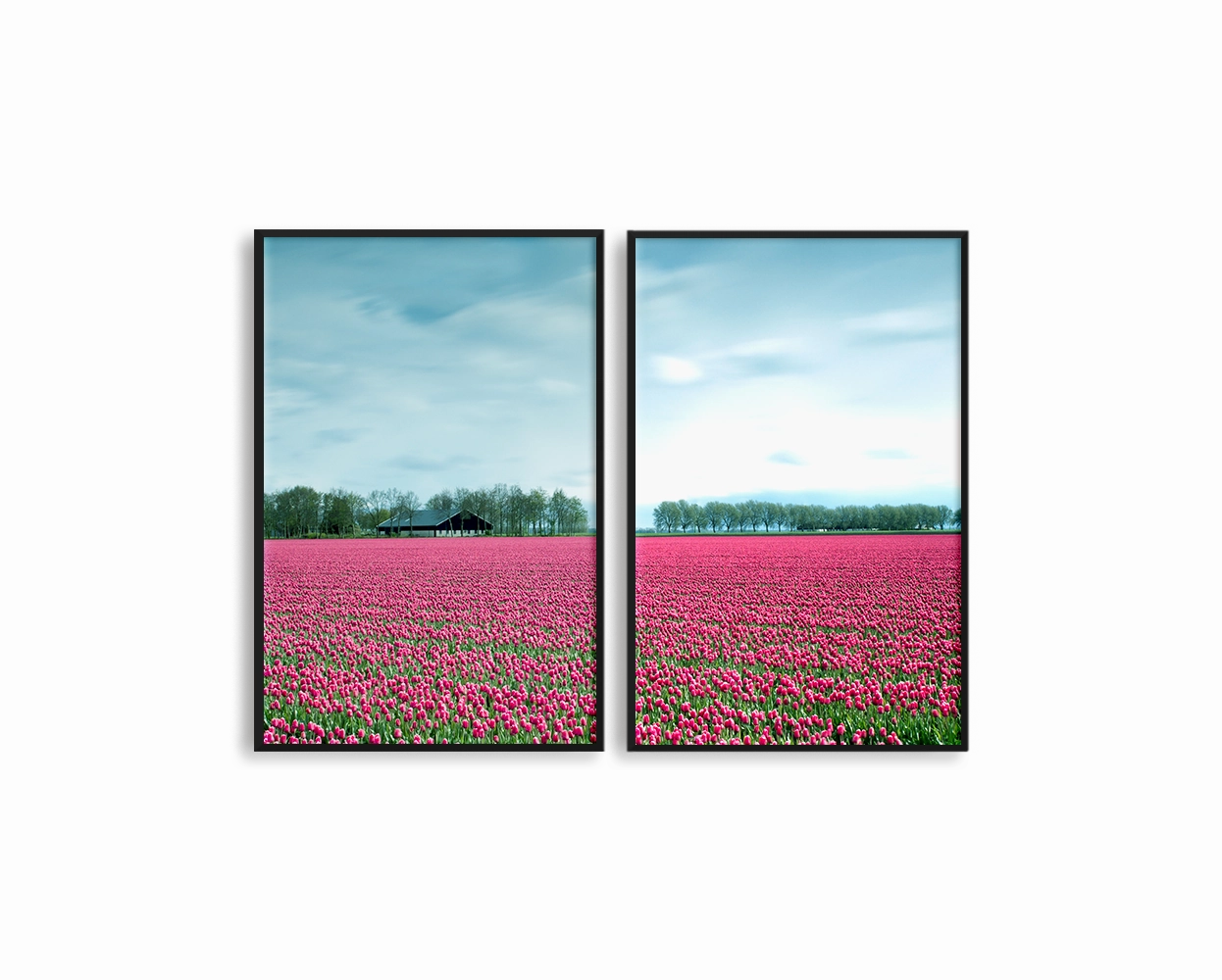 Netherlands Tulip Field Set Includes Two Prints