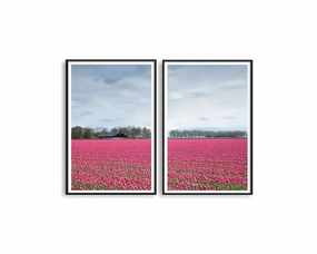 Netherlands Tulip Field Set Includes Two Printsmodern abstract painting decor