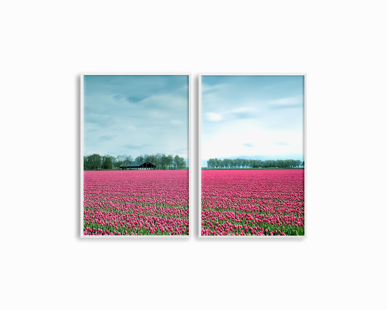 Netherlands Tulip Field Set Includes Two Prints