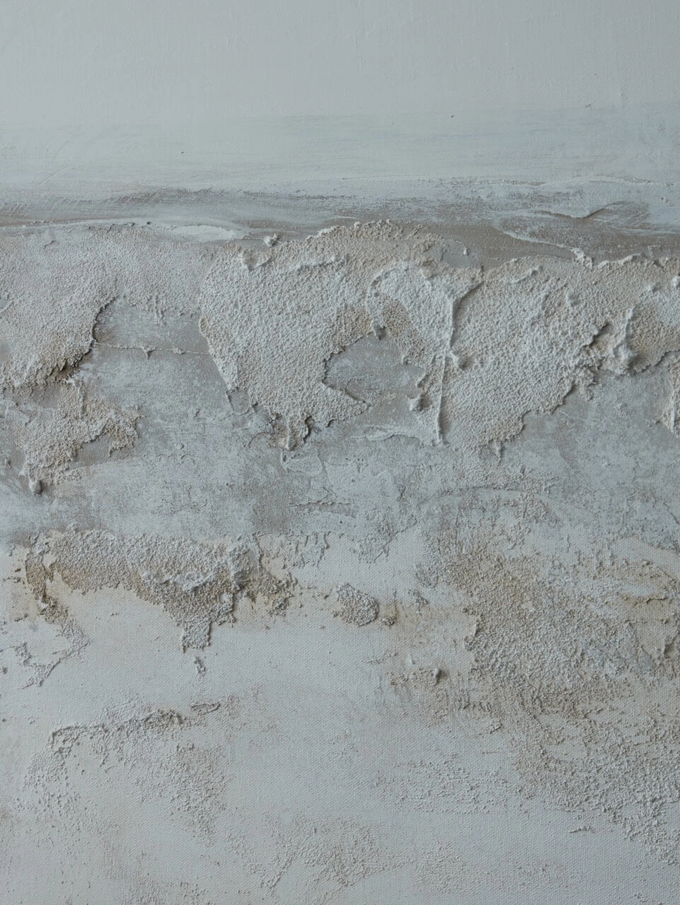 Neve Wall Art