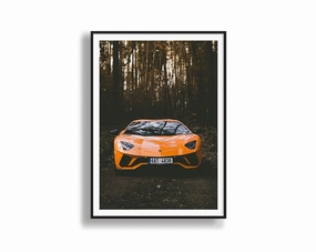 Orange Lamborghinimodern abstract painting decor