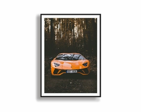 Orange Lamborghininordic style wall decor