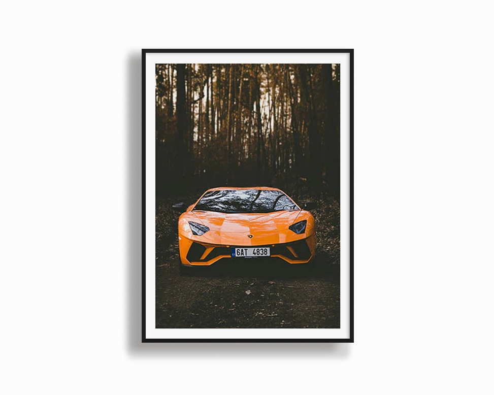 Orange Lamborghinimodern abstract painting decor