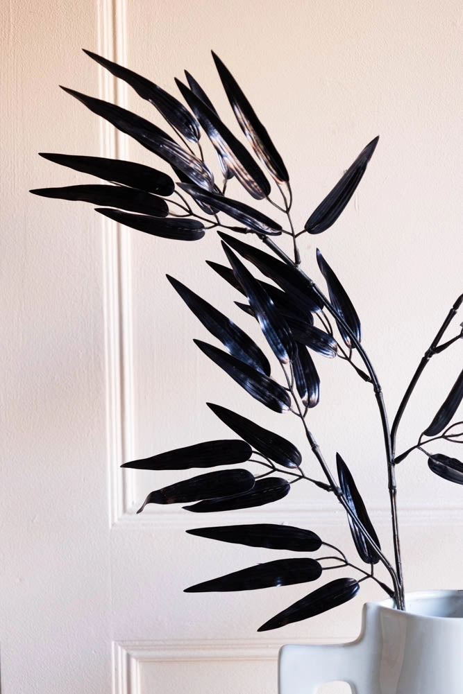 Ornamental Bamboo In Black