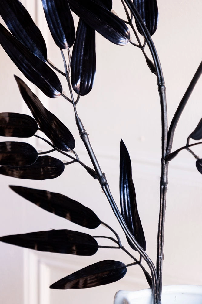 Ornamental Bamboo In Black