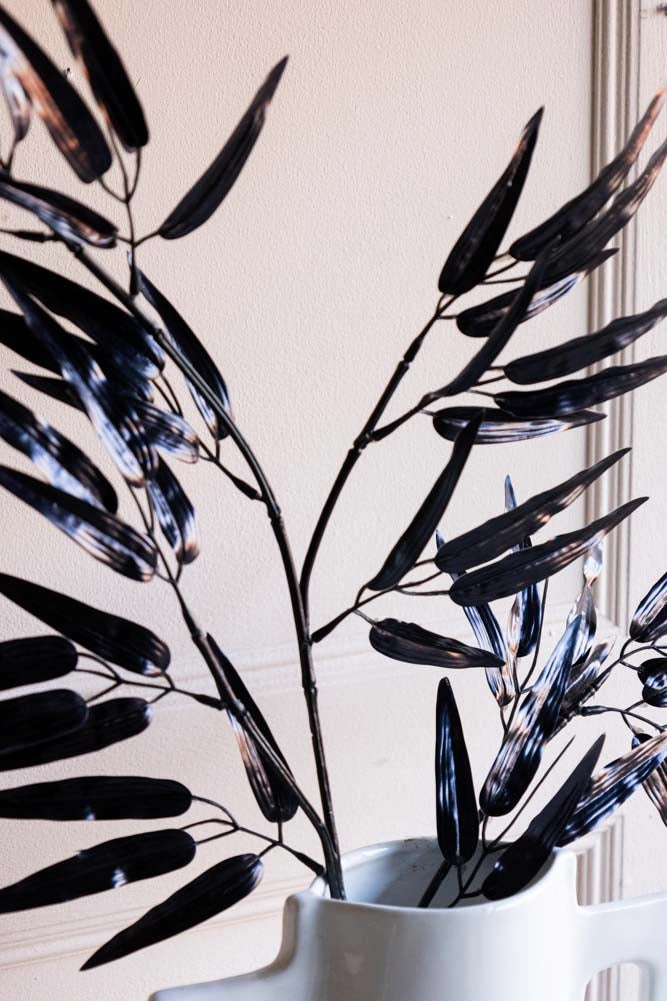 Ornamental Bamboo In Black