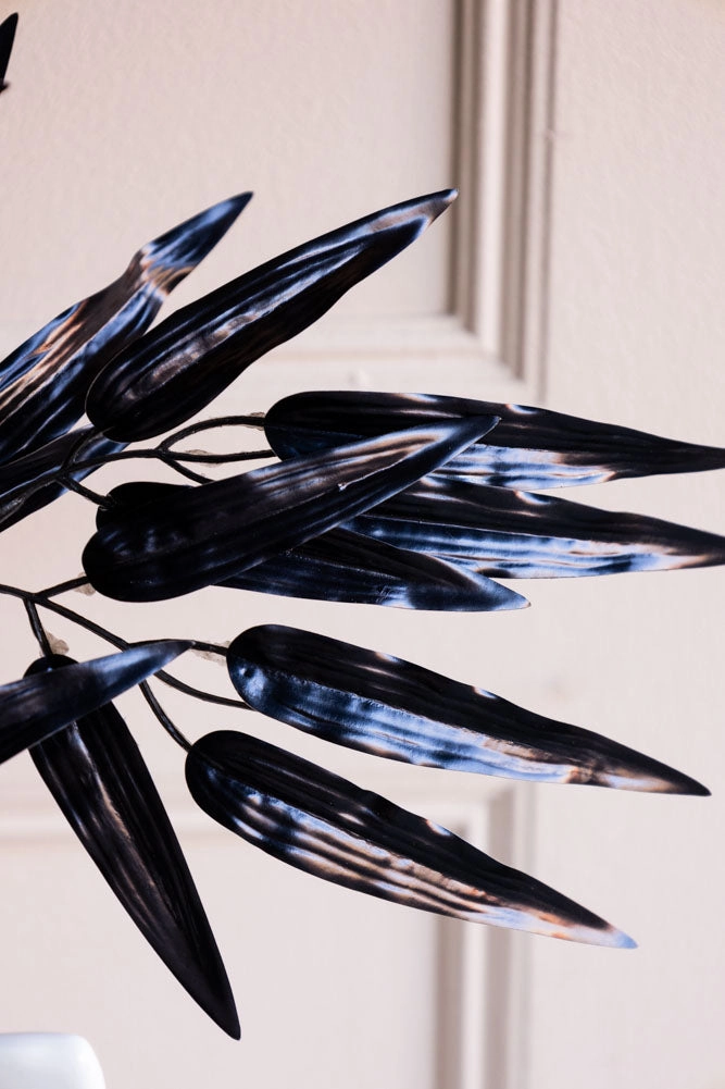 Ornamental Bamboo In Black