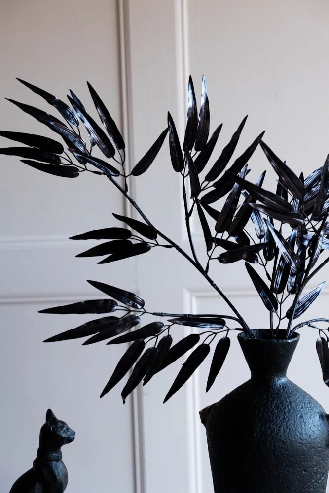 Ornamental Bamboo In Black