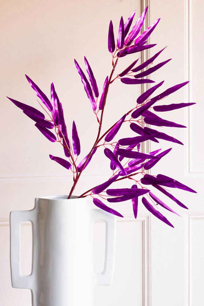 Ornamental Bamboo In Purple