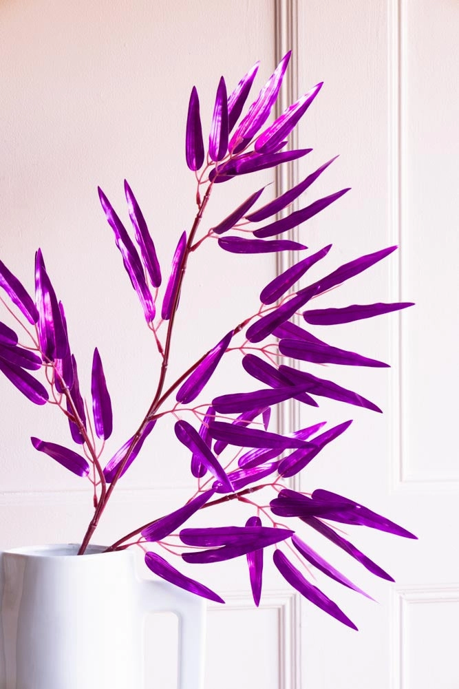 Ornamental Bamboo In Purple