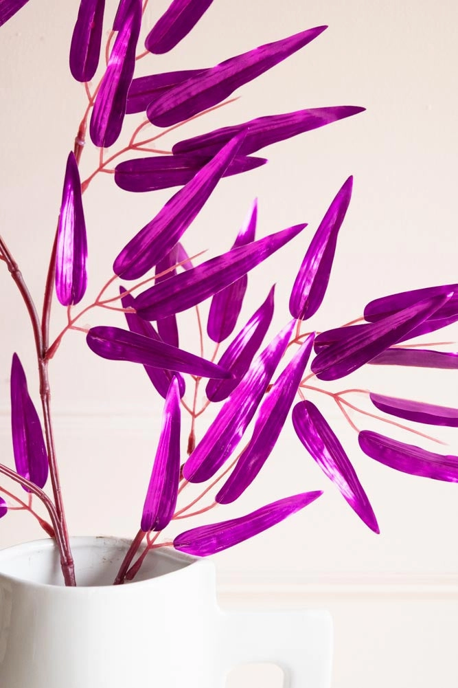 Ornamental Bamboo In Purple