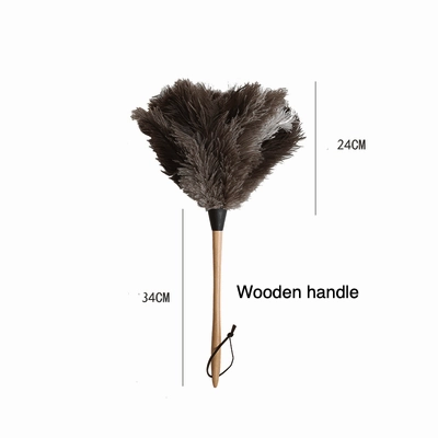 Ostrich Feather Duster