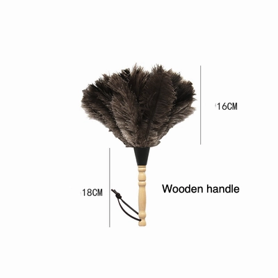 Ostrich Feather Duster