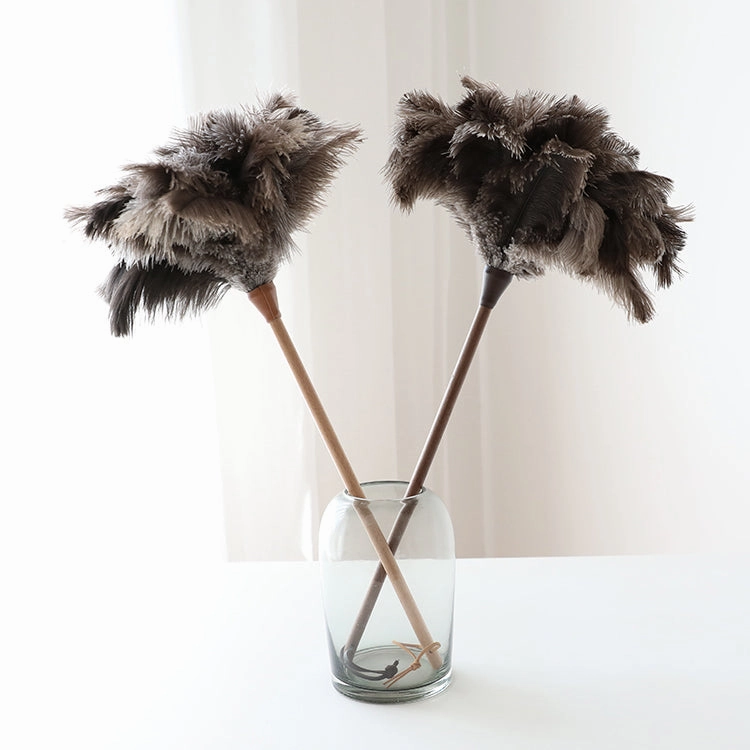 Ostrich Feather Duster
