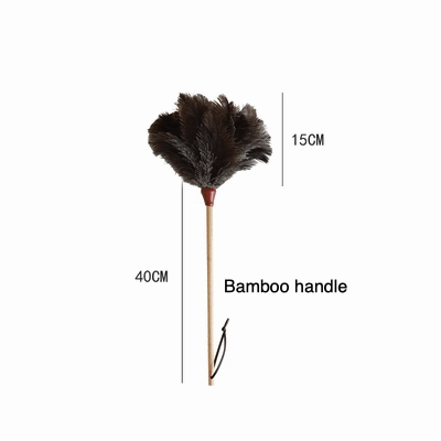 Ostrich Feather Duster