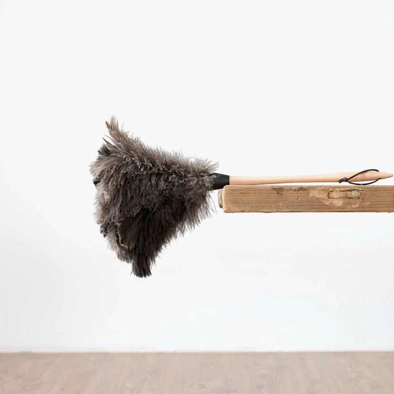 Ostrich Feather Duster