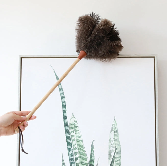 Ostrich Feather Duster