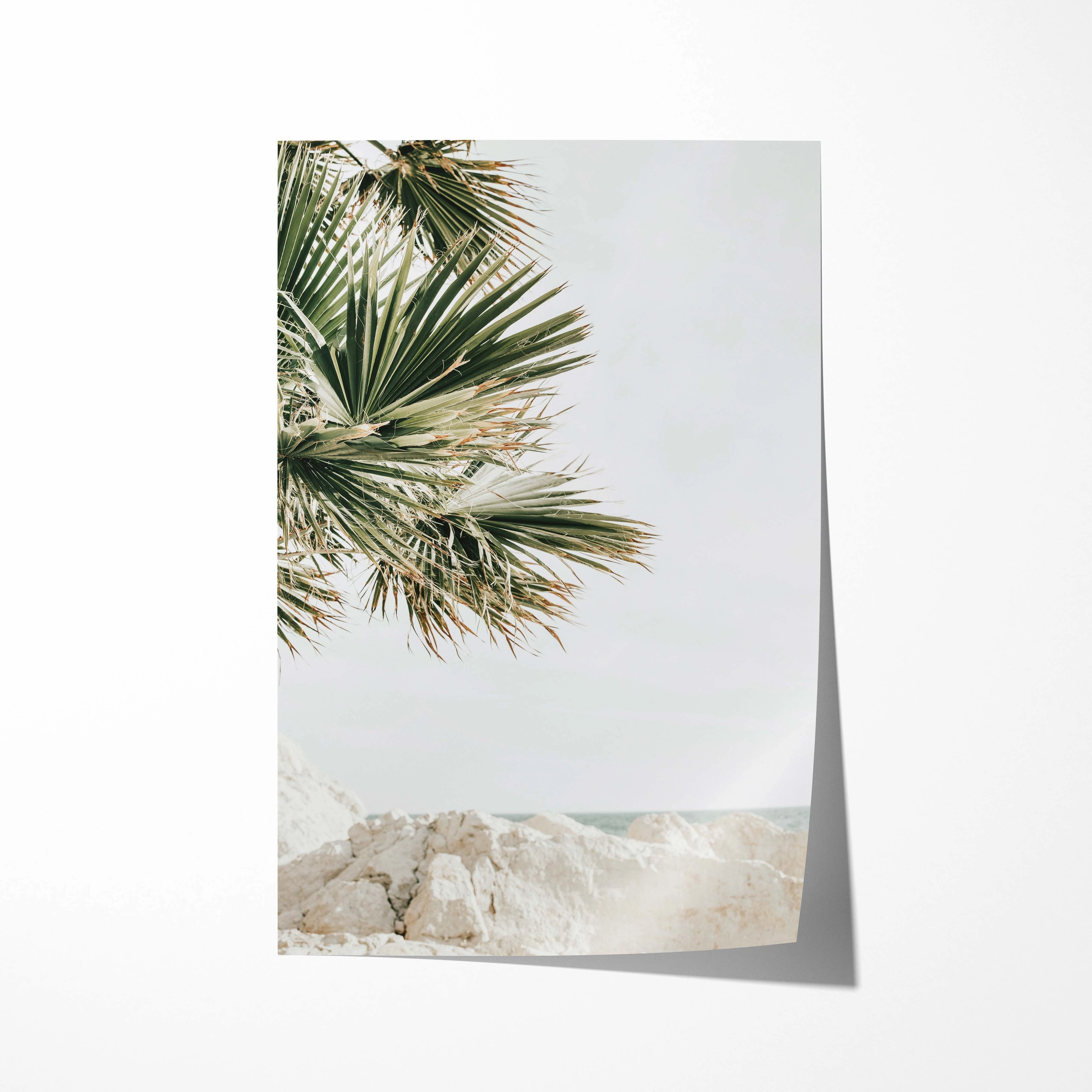 Palm Bay