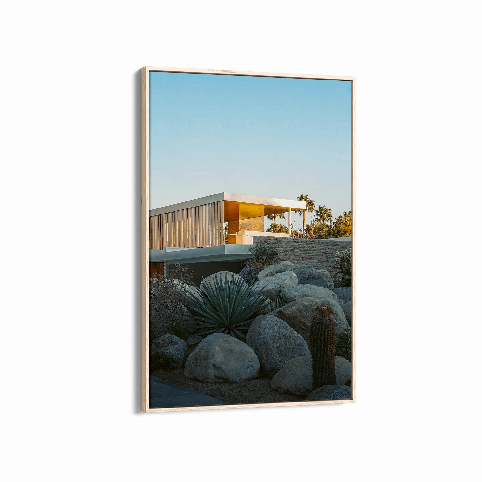 Palm Summer 2