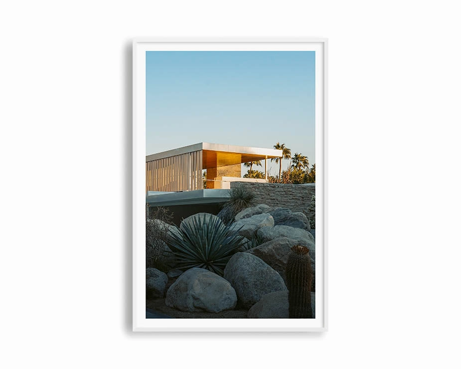 Palm Summer 2