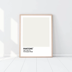 Pantone - Champagne Beigenordic style wall decor